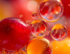 Collections_olfactives_mise_en_avant_images_1.webp