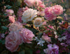 Collections_olfactives_mise_en_avant_images_6.webp